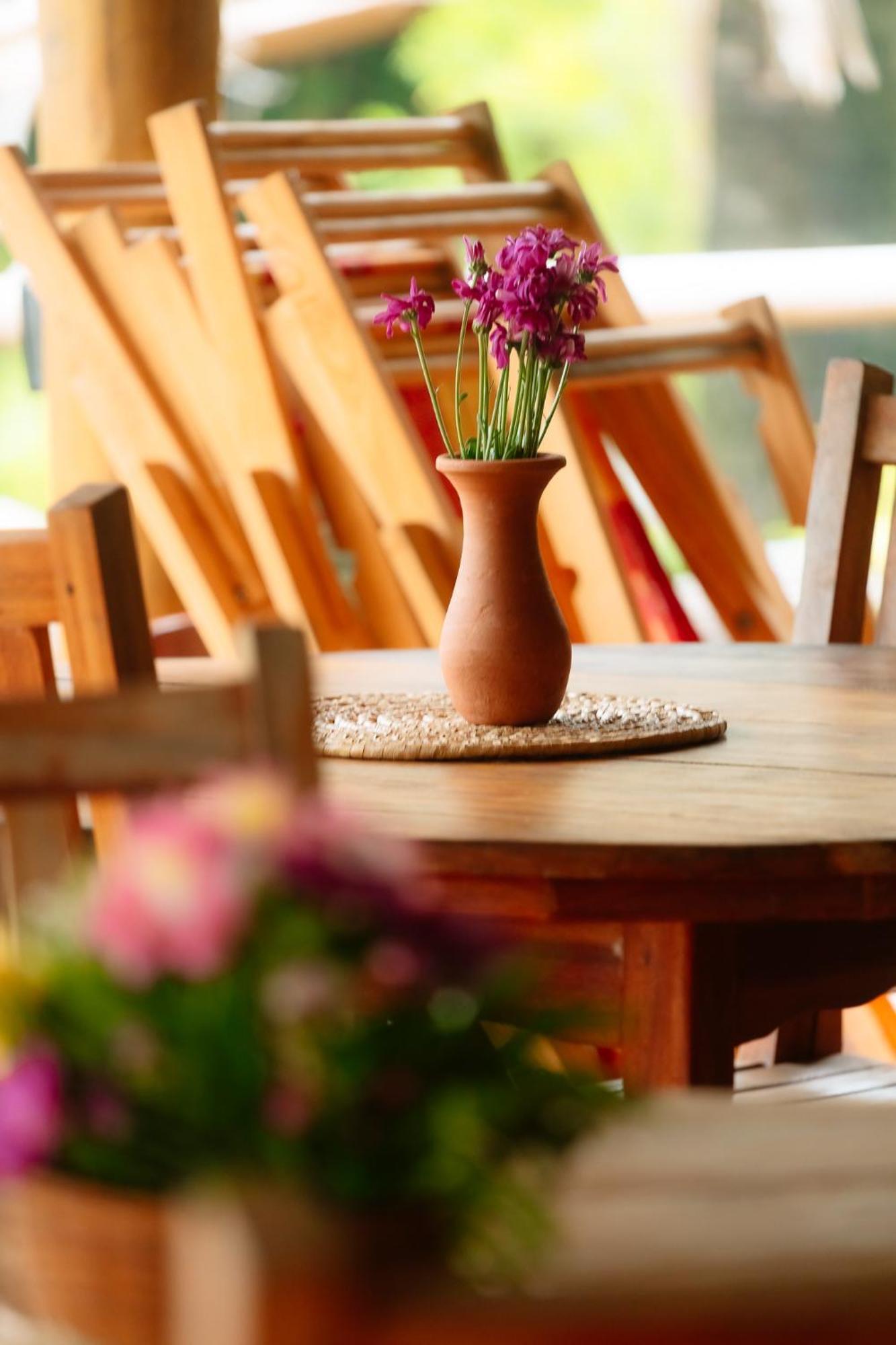 Rancho Estrelas Farm stay *